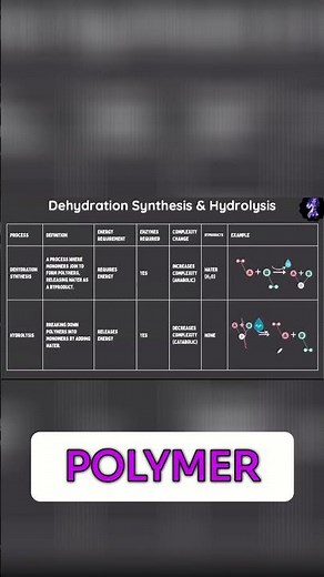 Hydrolysis: Polymer Breakdown Explained Simply & Clearly