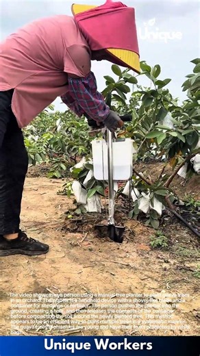 Efficient Tree Planting: Using a Manual Tree Planter for Guava Trees