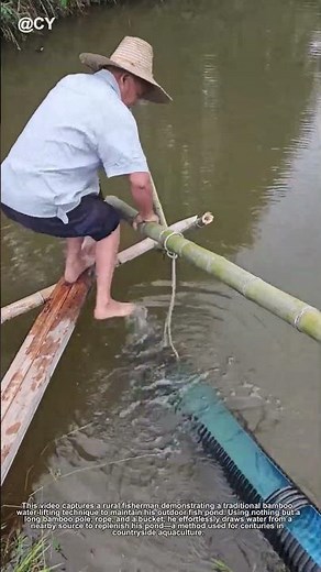 "Ancient Water Hack Still Works! 🌾 DIY Bamboo Lifter for Fish Pond"