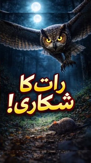 Owl POV Hunting at Night🌙#owl#nightvision#wildlife#animalpov#nature#shorts#youtubeshorts