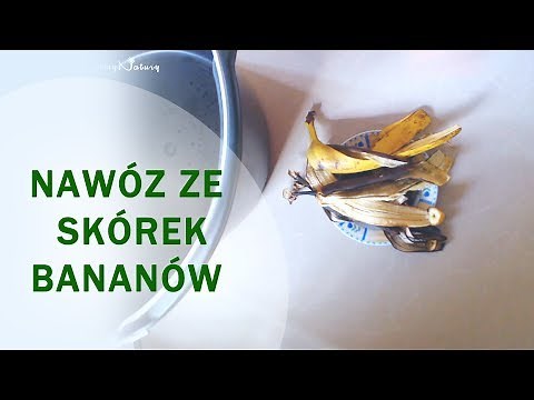 Jak zrobić nawóz ze skórek bananów