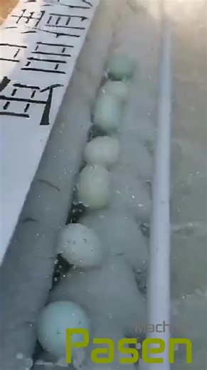 Egg Washing Machine Small Chicken Washer Machine