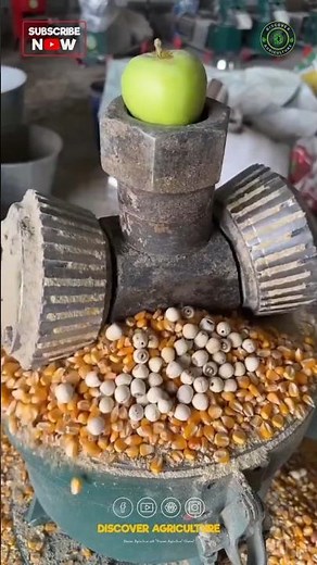 This is how the Pellet Feed Making Machine Works