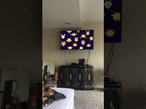 Opening To Arthur's Club Rules 2006 DVD