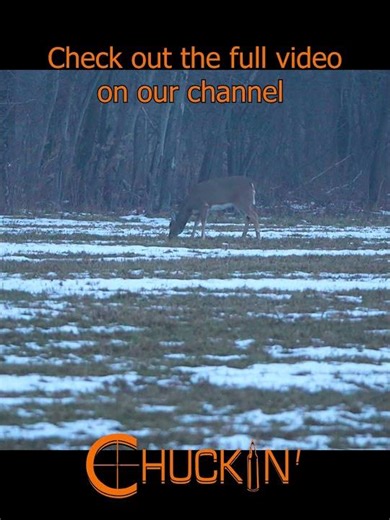 Muzzleloader Vs Deer #hunting #deer