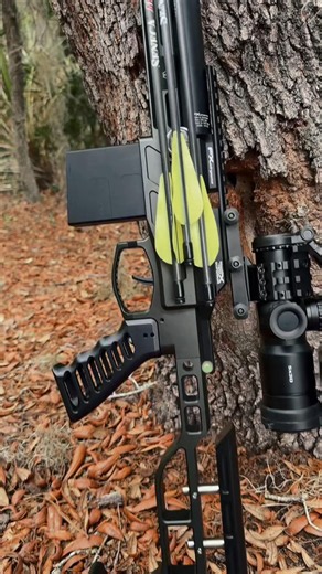 FX DRS MKII .35 cal Arrow Slinger Prototype