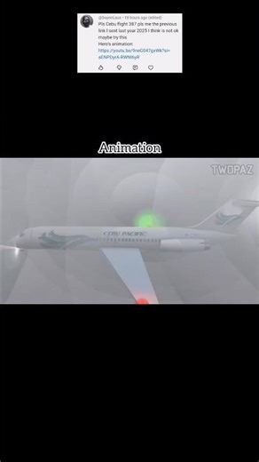 Animation Vs Real - Cebu Pacific Flight 387 - #shorts #ytshorts #planecrash