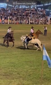 Un año por la fiesta del caballo y una ves más colgado 🤦 | Lito Fernandez