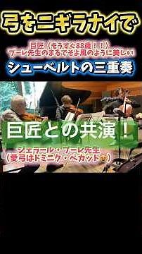 【パガニーニ国際コンクール第1位❗️驚愕の88歳🎻】巨匠プーレ先生のボーイングの極意 #shorts #巨匠 #シューベルト #バイオリン #ビオラ #チェロ #music #クラシック音楽