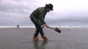 How to hunt for, catch, and cook Razor Clams on Washington's Coast  - Wild Food