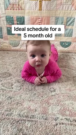 Team schedule over here 👋 . Not only do babies THRIVE on routines, but it is also a super effective way to naturally work with your baby’s circadian rhythm and help their sleep! . I can already hear the buts… ❤️ But what if my baby wakes earlier than 7am? ❤️ But what of they dont sleep that long? ❤️ But what if they can’t make those wake windows? ❤️ But what if we need to move bedtime back? . I’ve got you covered! I take out ALL the guesswork in my sleep schedules mini program for babies 5-18 m