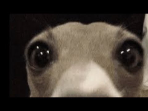 Doing 1 block in Yeeps