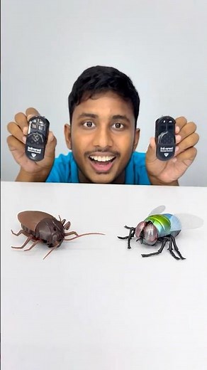 RC Cockroach | realistic simulation of a fly