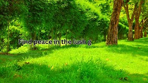 Unlock the Ultimate Collection of Green Envy Instagram Captions to Perfectly Complement Your Style,