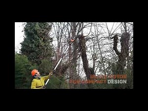 WORX 20V Cordless Pole Pruning Chainsaw - WG349E / WG349E 9