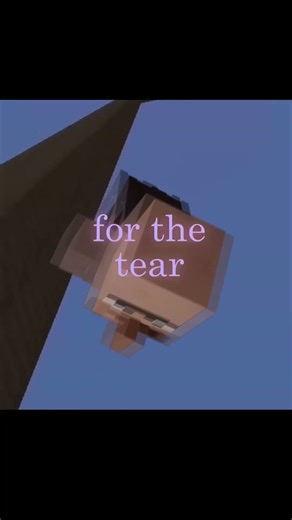 Ce pote qui tente ENCORE de clipper sur Minecraft 😭