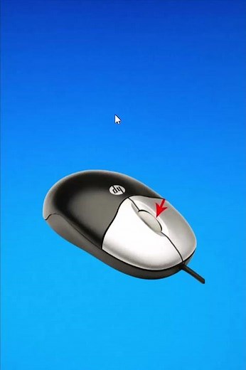 Mouse Wheel not working