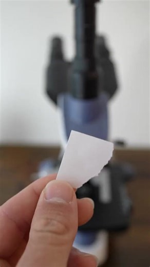 paper vs. microscope #science #microscope #paper | Skyler Mercer