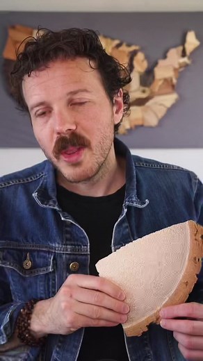 Reply to @draphra get to know a state tree: Florida’s Sabal Palm #trees #woodworking #florida #learnontiktok #statetreemap #palmetto