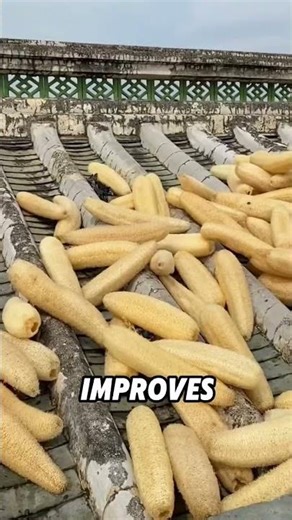 Luffa sponge#funny #funnyvideo #shorts #viral