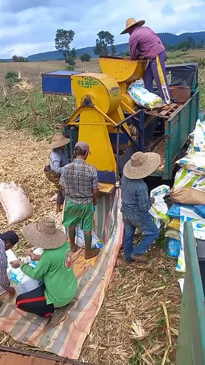 Corn Threshing Techniques with Tractor Assistance