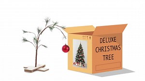 12 Scams of Christmas: How to spot compromised gift cards