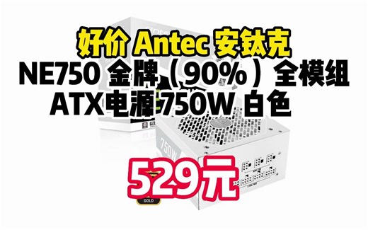 安钛克 Antec NE750金牌全模组 纯白/全日系电解电容/支持风扇启停/双8pin电脑主机电源750W	0618-109