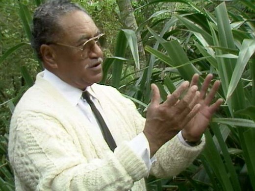 Using harakeke | Rongoā – medicinal use of plants | Te Ara Encyclopedia of New Zealand