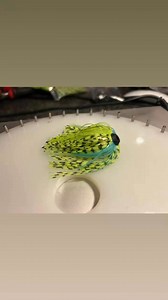 More chartreuse. If you’re new to fishing and get overwhelmed about...