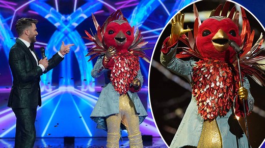 Who is Robin on The Masked Singer?