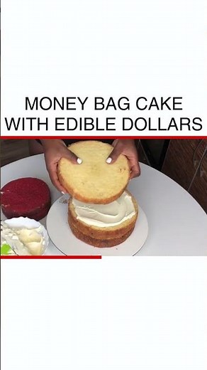 Amazing Money Bag Cake with Edible Dollars Creation Tutorial #Baking #EdibleArt