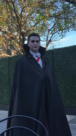 Exploring Dracula: A Tale of Mystery and Intrigue