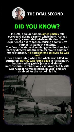 The Case of James Bartley: Man vs. Whale #facts #history