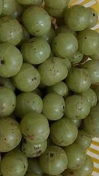 How to make fresh amla juice at home | amla juice recipe | amla juice for weight loss | fresh juice