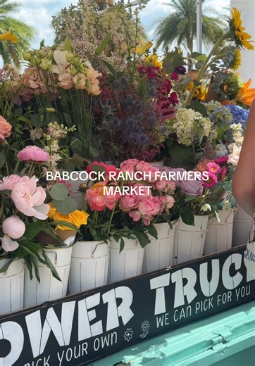Babcock Ranch Farmers Market Haul: Flowers & Local Treats