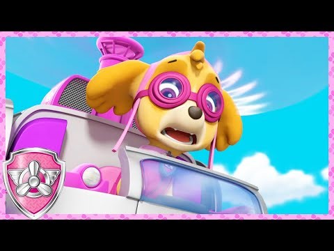 Rescues Gone Wrong ❌ (Compilation) | Skye - Paw Patrol & Friends | Cartoons For Kids