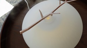 Watch glass oil diffusers on Amazon Live