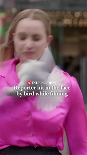 The Independent on Instagram: "A news reporter was left with blood pouring from her face after being struck by a seagull while filming. New Zealand reporter Jessica Tyson was filming a outdoor segment for the Maori+ show Te Ao with Moana when the bird slammed into her, possibly blown off course by high winds. ”Oh my god, my eye,” said Tyson, before quickly realising the collision had opened up a cut above her right eye. Speaking to Channel 9’s Today programme, Tyson confirmed, although she was l