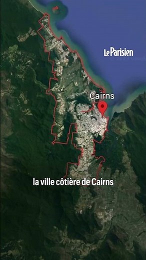 Attaqués par des requins sur leur catamaran gonflable