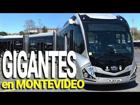 The New Mayor's Surprise! Articulated Buses in Montevideo