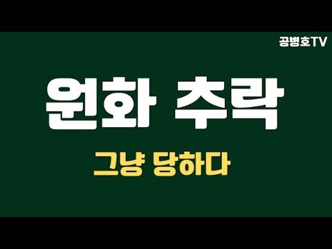 The value of the Korean Won is falling / Just sitting there and taking it / People who are taking...