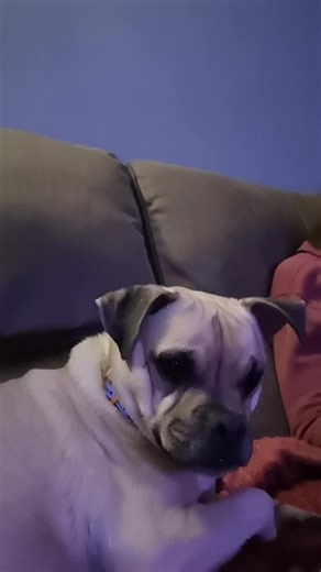 Stickle Back (@stickleback2)’s videos with original sound - Stickle Back