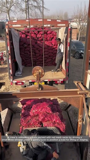 Safe Hoist-Assisted Unloading of Bagged Goods from a Truck