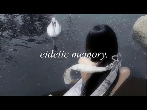 1X ★ eidetic memory.
