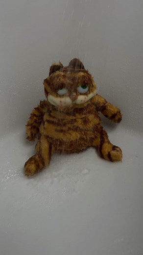 Life is hard for Garfield… | come as you are