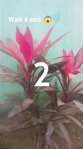 #Cyborg..........😱