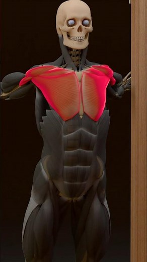 💥This doorway stretch will fix your bad posture #synermuscle #chestday #mobility #PostureFix