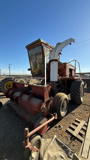 nadir on Instagram: "The famous Field Queen 👑 • • • #fieldqueen #queen #chopper #hesston #silage #farmwork #viral #tiktok #tendencia #tendenza #agriculture #agricultura #agricoltura #farm #farmlife"