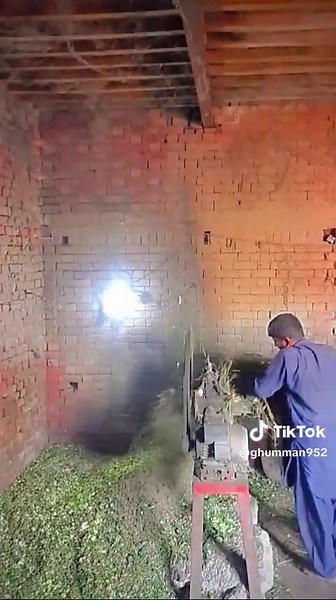 Innovative Agriculture Techniques for Modern Farming