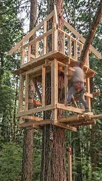 Hand-Built Treehouse Start to Finish #treehouse #satisfying #diy